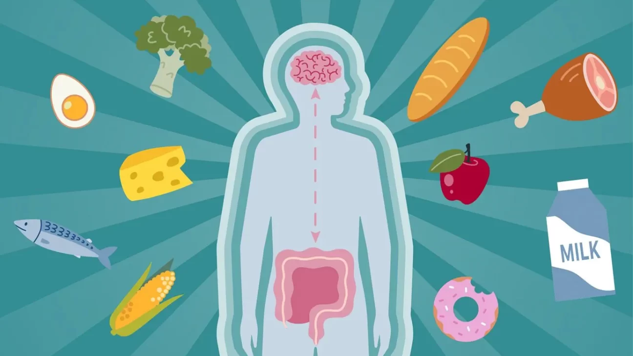 The Gut-Brain Axis: Unlocking the Dynamic Dialogue Between Gut and Mind
